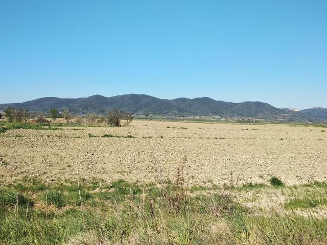 Terreno in vendita a Barbaruta, Monte Argentario