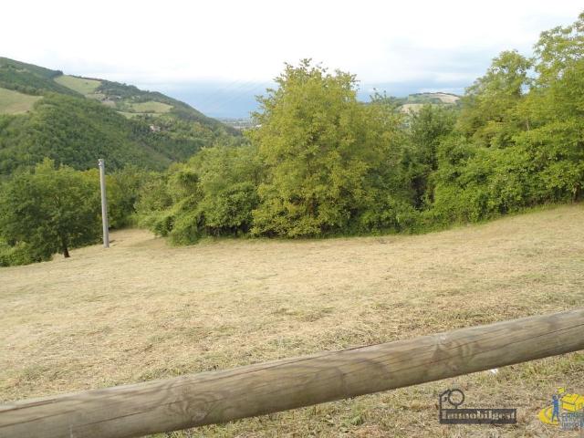 Terreno in vendita a Ronzano, Calestano