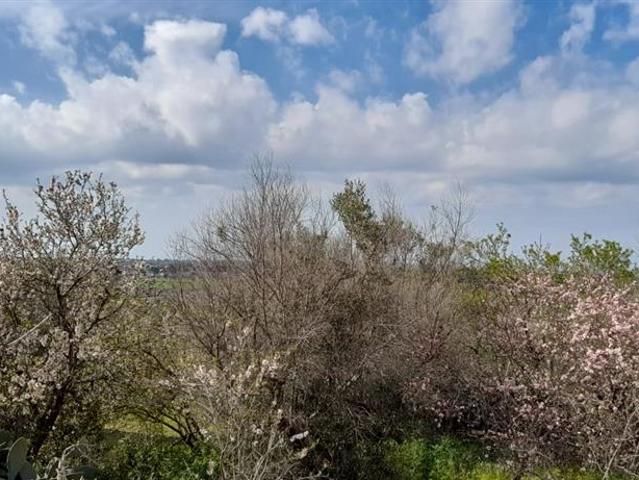 Terreno in vendita a Chiesanuova, Puglia