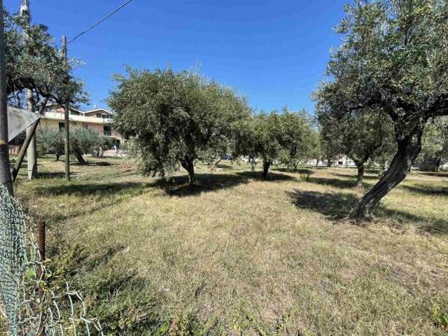 Terreno in vendita a Vasto, Abruzzo