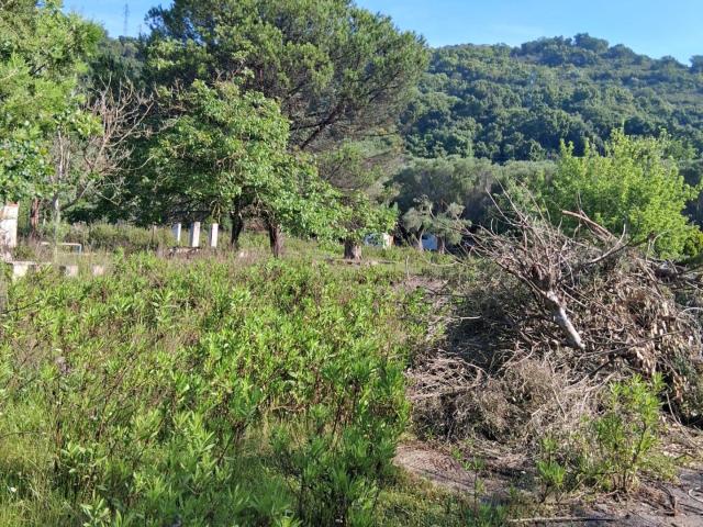 Terreno in vendita a Ispani, Campania