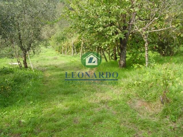 Terreno in vendita a Massa e Cozzile, Margine Coperta