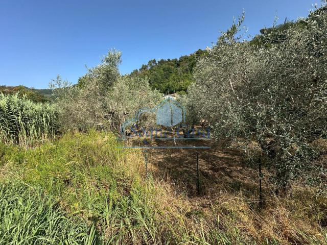 Terreno in vendita a Luni, Liguria