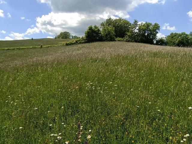 Terreno in vendita a Tizzano Val Parma, Reggio Emilia