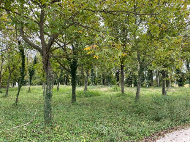 Terreno in vendita a Sant'Antonino, Treviso