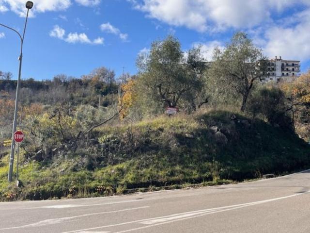Terreno in vendita a Roccadaspide, Campania