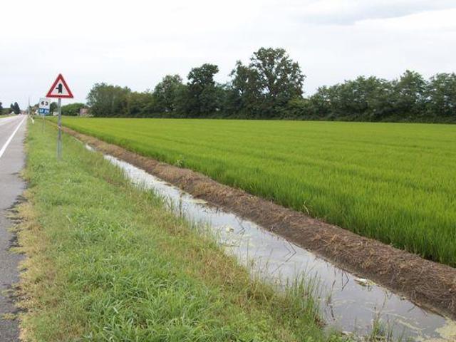Terreno in vendita a Piemonte, Novara