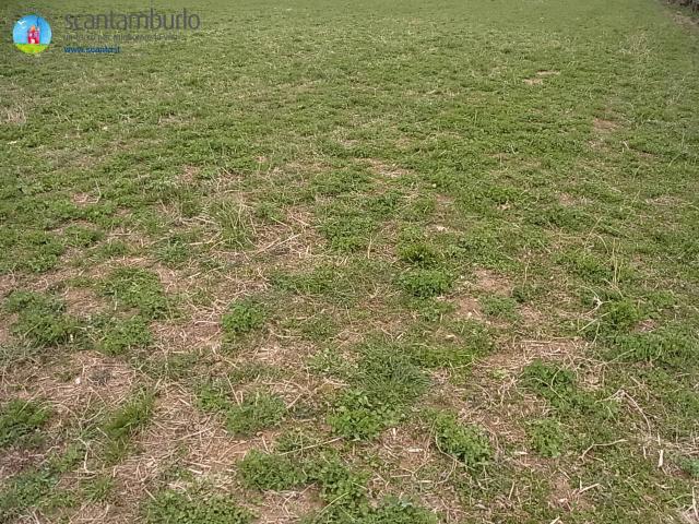 Terreno in vendita a Sovernigo, Paese