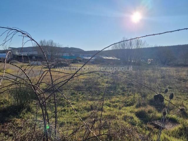 Terreno in vendita a Rapolano Terme, Toscana
