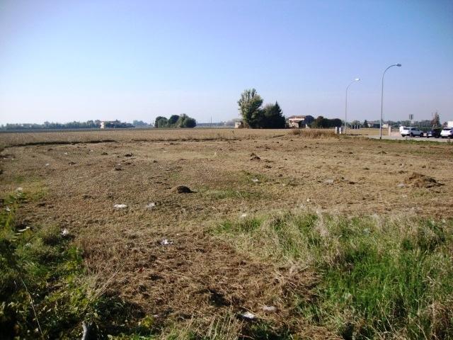 Terreno in vendita a Unione Reno Galliera, San Pietro In Casale