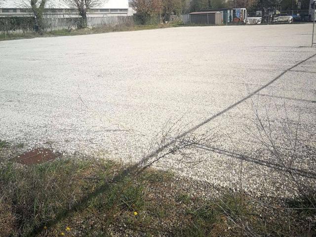 Terreno in affitto a Unione di Comuni della Romagna Forlivese, Quattro