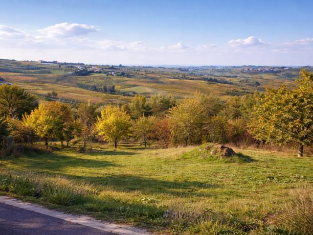 Terreno in vendita a Ziano Piacentino, Piacenza