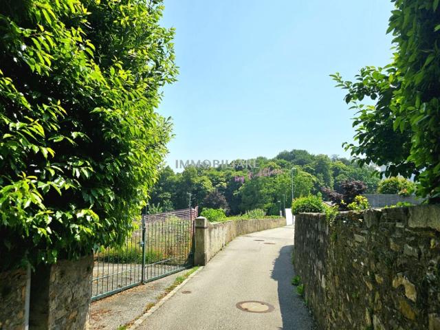 Immobilie kaufen in Collina d'Oro, Tessin