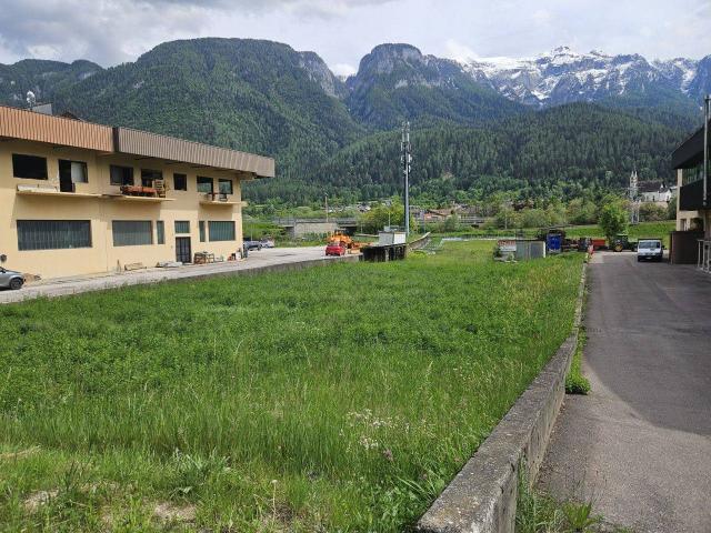 Terreno in vendita a Comunità della Valle di Sole, Dimaro