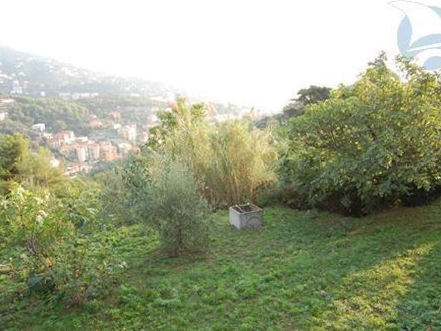 Terreno in vendita a Alassio, Liguria