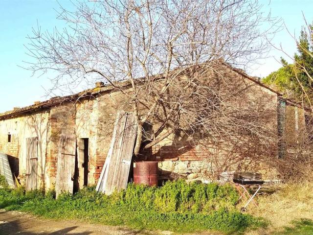 Terreno in vendita a Bibbona, Toscana