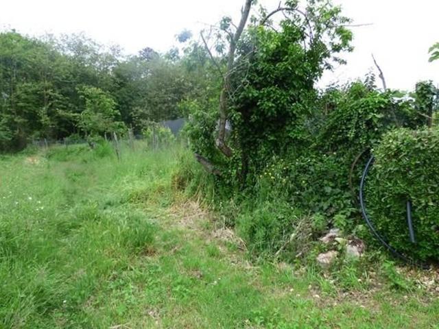 Terreno in vendita a San Leonardo in Treponzio, Capannori
