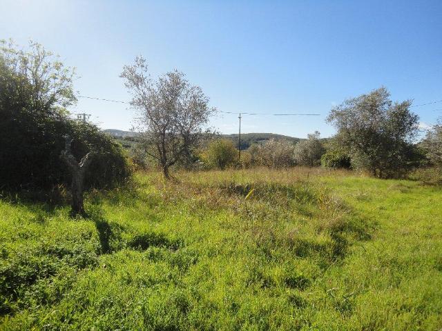 Terreno in vendita a Casciana Terme Lari, Ceppato