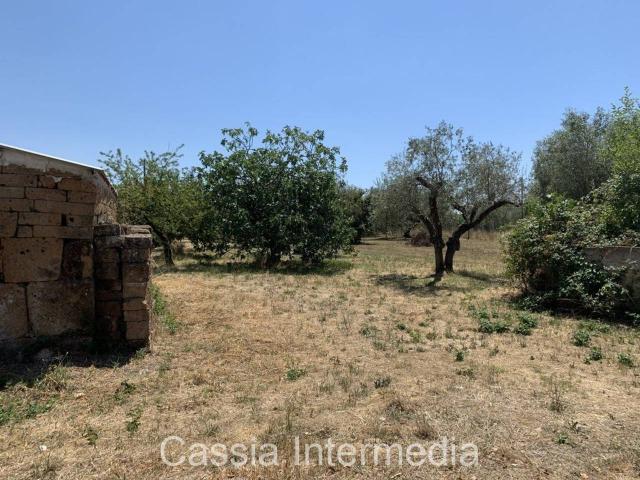 Terreno in vendita a Castel Sant'elia, Lazio