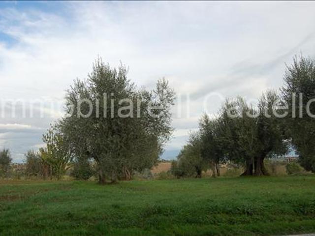 Terreno in vendita a Badia, Gioiella