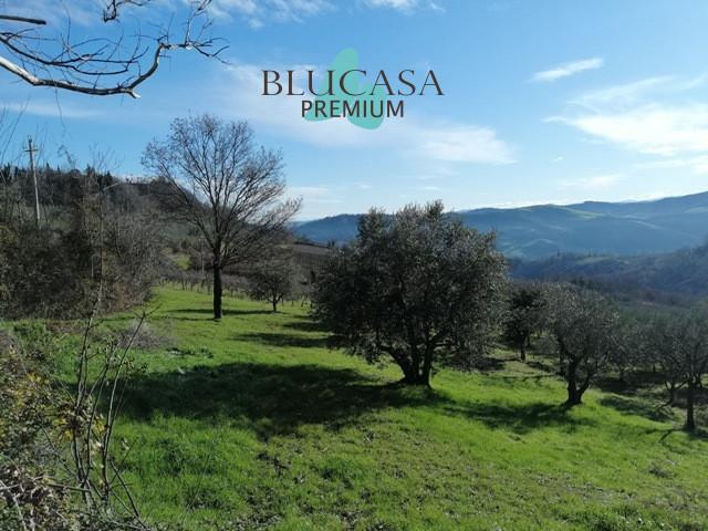 Terreno in vendita a Castrocaro Terme e Terra del Sole, Forlì-Cesena