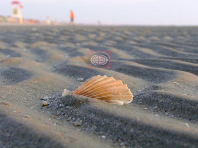 Terreno in vendita a Zadina, Cesenatico