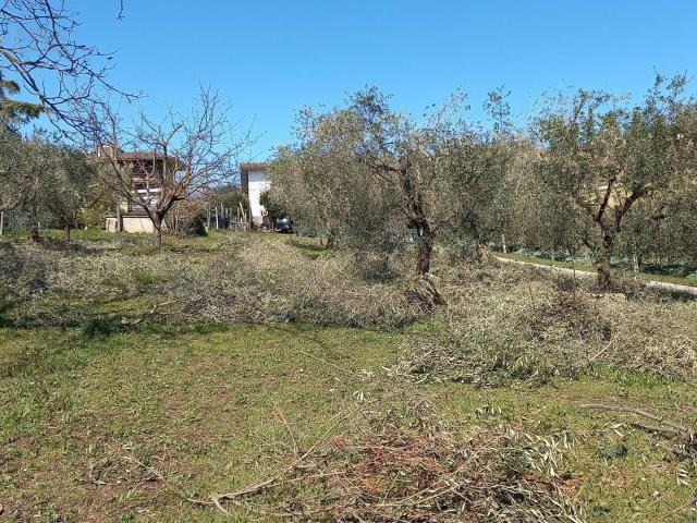 Terreno in vendita a Marche, Ascoli Piceno