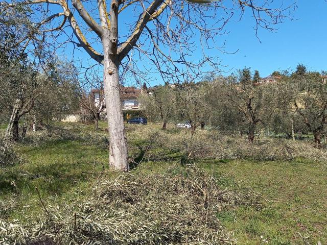 Terreno in vendita a Marche, Ascoli Piceno