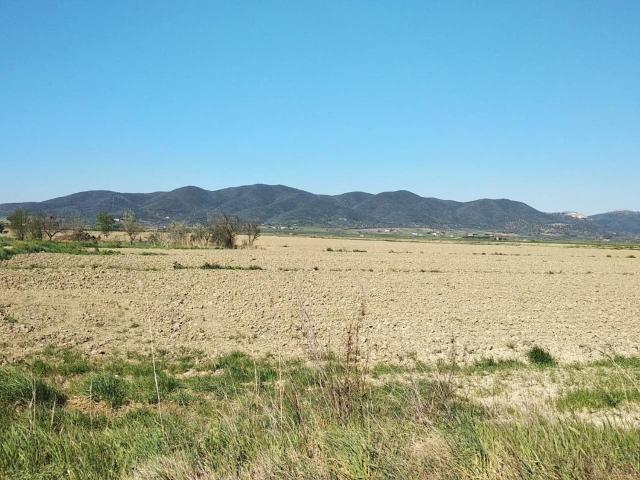 Terreno in vendita a Barbaruta, Monte Argentario