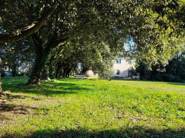 Terreno in vendita a Poggione, Monte Argentario