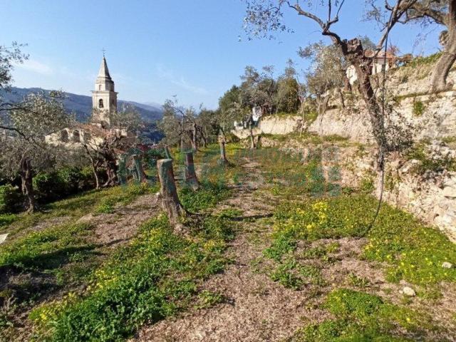 Terreno in vendita a Oliveto, Imperia