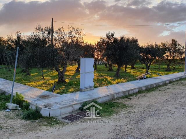 Terreno in vendita a Puglia, Lecce