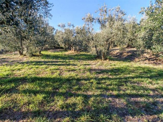 Terreno in vendita a Lucignano, Toscana