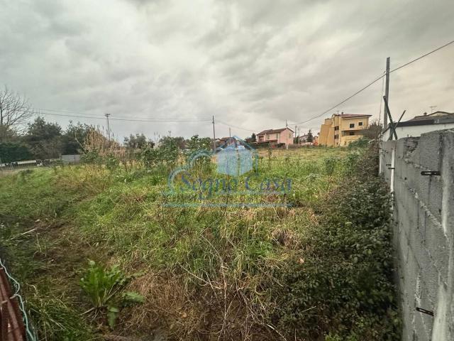 Terreno in vendita a Luni, Liguria