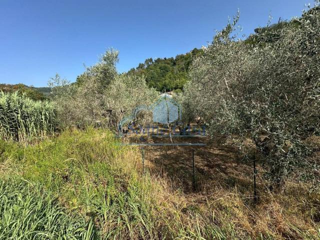 Terreno in vendita a Luni, Liguria