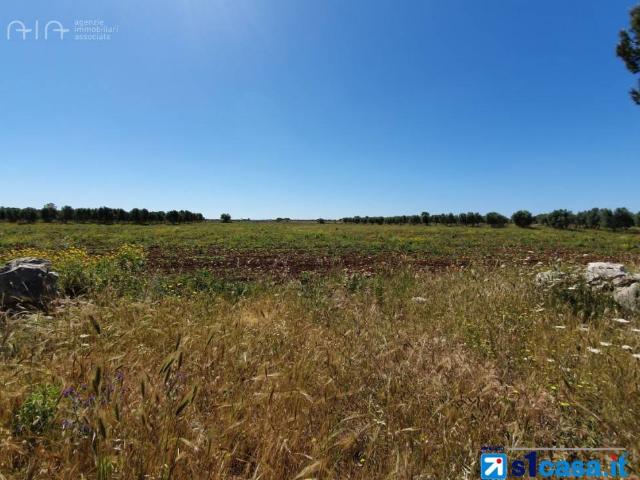 Terreno in vendita a Marche, Ascoli Piceno