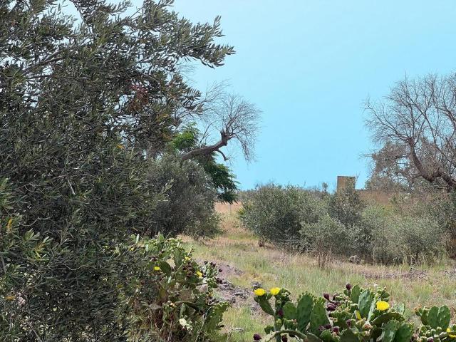 Terreno in vendita a Puglia, Lecce