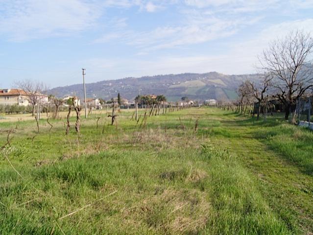 Terreno in vendita a Molino, Marche