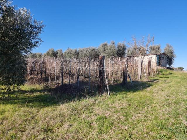 Terreno in vendita a Acquaviva, Abbadia Di Montepulciano