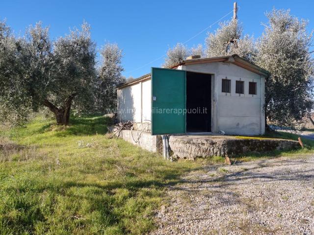 Terreno in vendita a Acquaviva, Abbadia Di Montepulciano