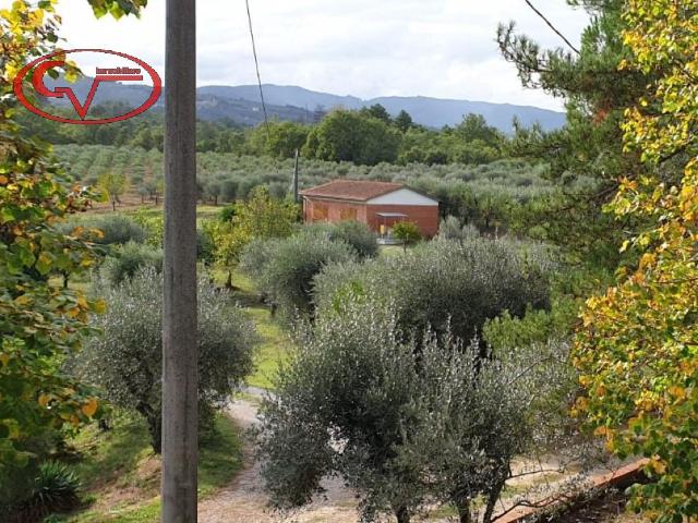 Terreno in vendita a Pestello, Montevarchi