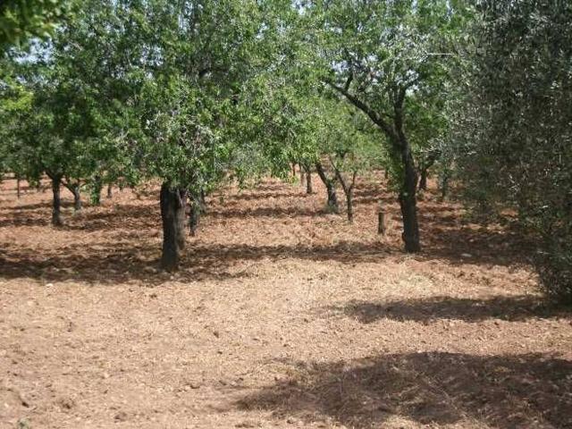 Terreno in vendita a Lido di Noto, Noto