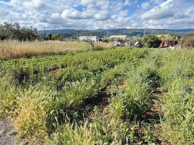 Terreno in vendita a Calabria, Catanzaro