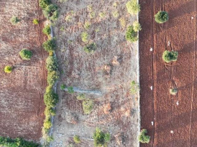 Terreno in vendita a Casello Cavuzzi, Puglia