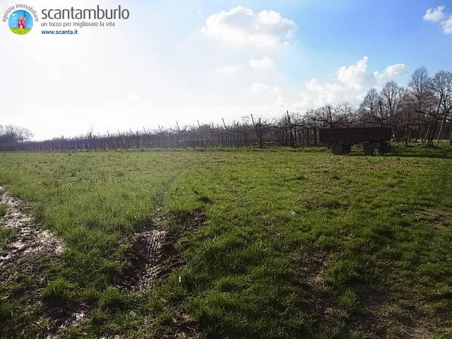 Terreno in vendita a Povegliano, Veneto