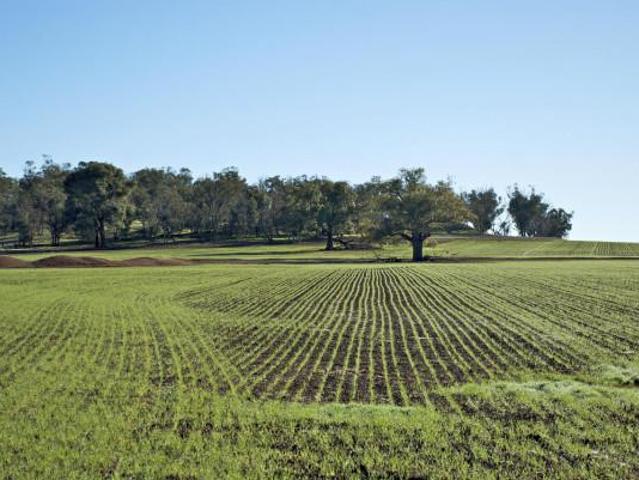 Terreno in vendita a Ravenna, Reggio Emilia