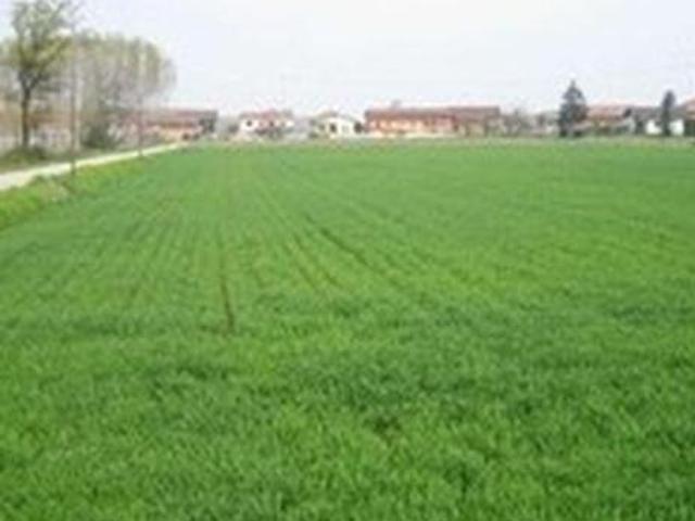 Terreno in vendita a Pieve Modolena, Re