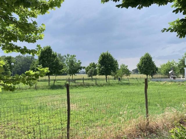 Terreno in vendita a Russi, Reggio Emilia