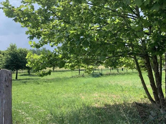Terreno in vendita a Russi, Reggio Emilia