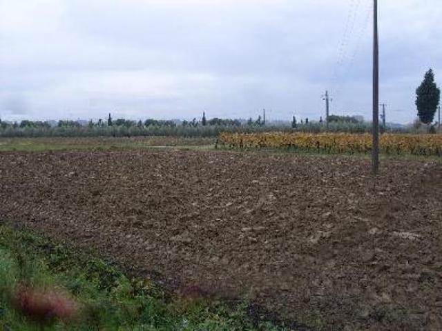 Terreno in vendita a Catena, San Miniato